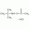 O-乙酰基-N-叔丁基羟胺盐酸盐>98%