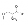 (R)-2-氨基-3-甲氧基丙酸