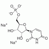 5'-尿苷酸二钠CAS3387-36-8