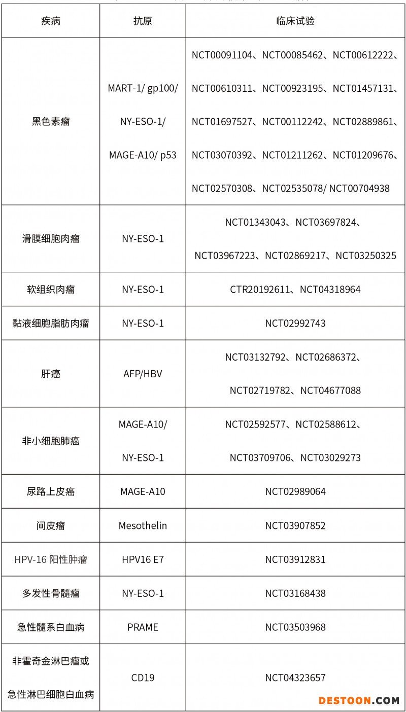 TCR-T细胞免疫治疗在肿瘤治疗中的研究进展-3