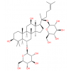 人参皂苷Rg1